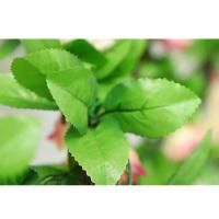uploads/erp/collection/images/Home Garden/CongDing/XU0612347/img_b/XU0612347_img_b_3